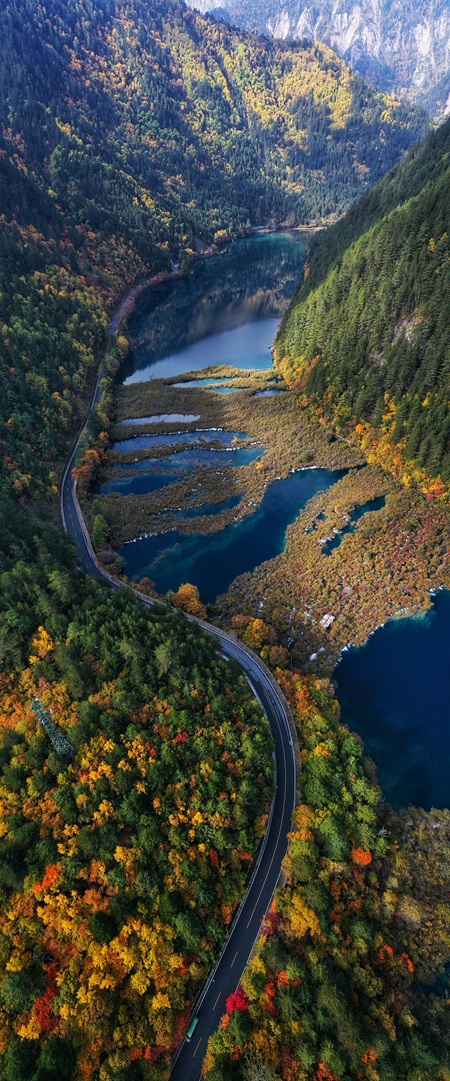 2025 Autumn Foliage Review