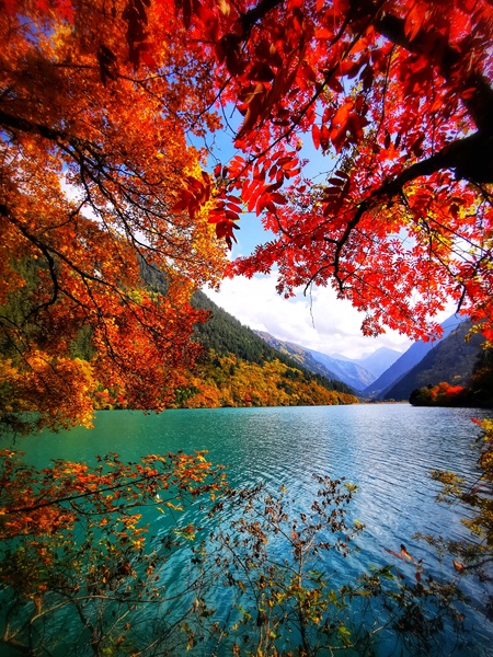 Best Time to See Autumn Foliage