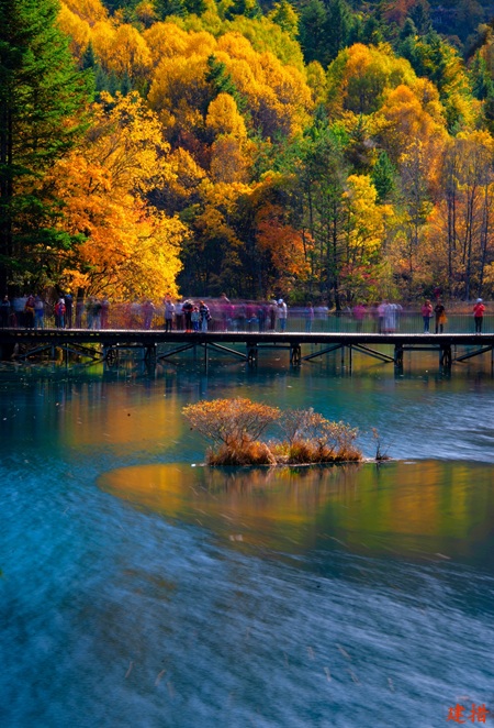 Best Places to See Autumn Foliage