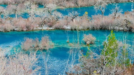 Highlights of Shuzheng Valley including lakes and waterfalls