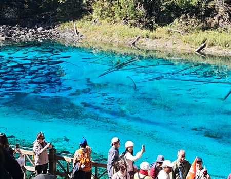Five-Color Pool Viewing Platform
