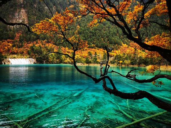 Five Flower Lake overview in Jiuzhaigou National Park