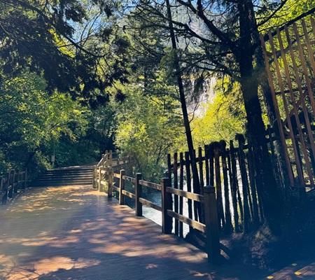 Observation boardwalk at Long Lake